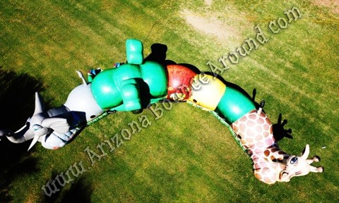 Safari themed inflatables for rent in Peoria Arizona.jpg